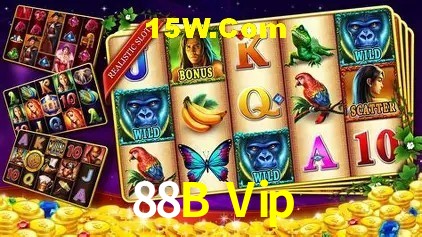 Segurança e performance na plataforma 88B Vip